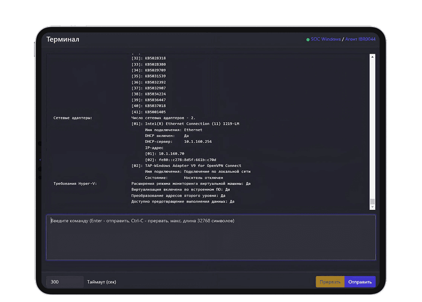 Терминал удаленного доступа